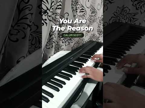 You Are The Reason by Calum Scott #shorts #calumscott #youarethereason #pianoshorts