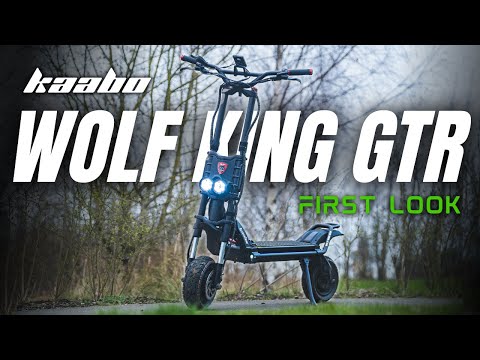 Wolf King GTR - FIRST Look At This Ultra-Performance Beast