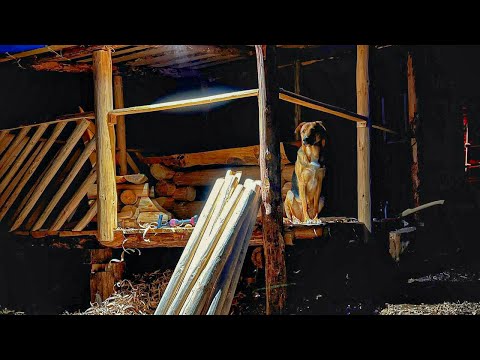 My Dog guards my Log Cabin from wild Animals at night. Baked Trout on Coals. The Gazebo is completed