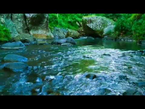 Mountain stream flowing, Forest river stream, Flowing water, white noise for sleeping