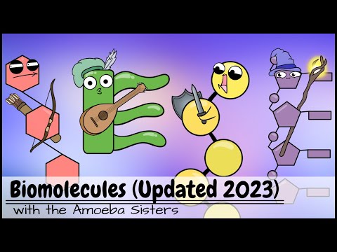 Biomolecules (Updated 2023)