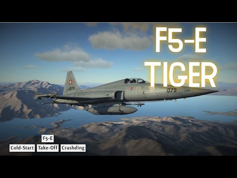 DCS F5 - Cold start, take off and crash-ding