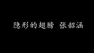 隐形的翅膀 张韶涵 (歌词版)