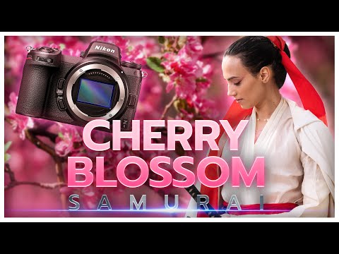 NIKON Z6 & 70-200mm F/2.8: Cherry Blossom Portrait Photoshoot