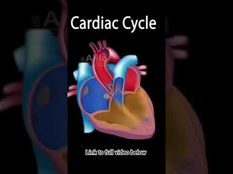 Cardiac cycle with Heart Sound #medicalanimation #cardiaccycle