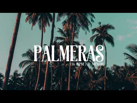 "Palmeras" - Cuban & Latin Type Beat - Instrumental Summer | Lexal Beats