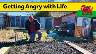 222. Planting and Fixing at the Homestead - Living Alone in Wales (March 2025)