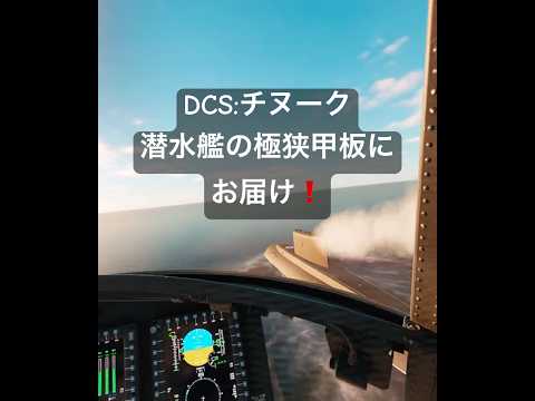 【DCSヘリ錬】潜水艦の甲板に荷物はお届けできるのか！？ #dcs