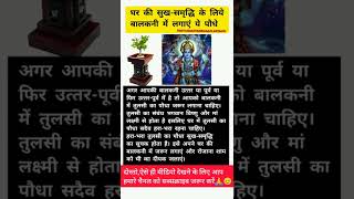 Vastu tips for home||Lucky Plants,तुलसी का पौधा इन जगहों पर लगाना अशुभ होता है #shorts #vastutips