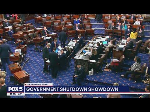 Trump: 'If there's a shutdown it's only because of the Democrats"