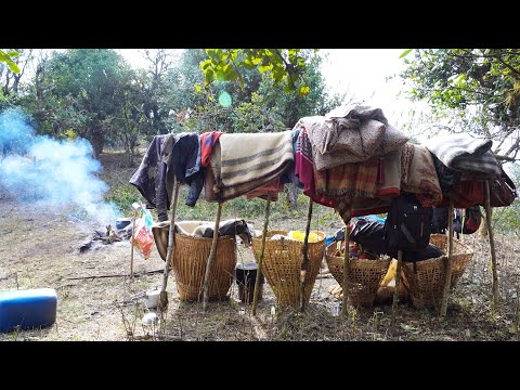 shepherd life of Nepal @shepherdlifeofnepal