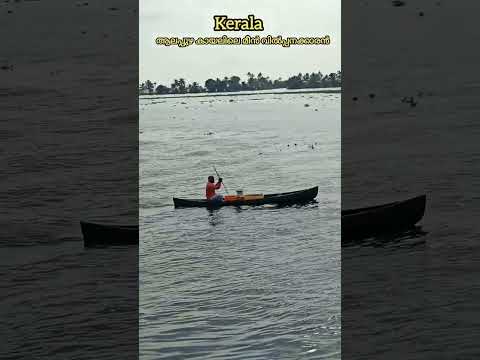 കായലിലെ മീൻകാരൻ, Fish seller, Alappuzha backwaters #shorts