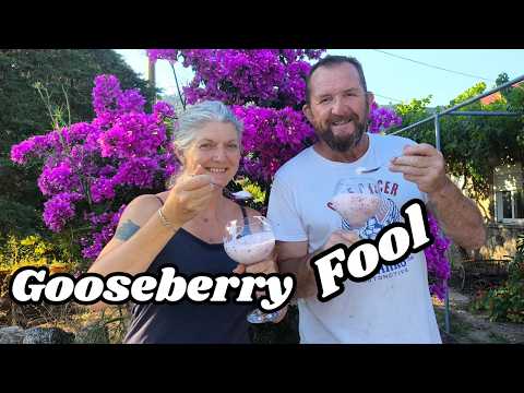 Homestead Projects Finished and An Easy Gooseberry Fool Recipe :  210