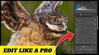 Lightroom Classic 2024: A Beginner's Guide to Image Editing