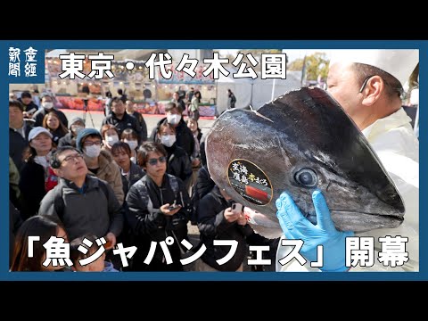 「魚ジャパンフェス」開幕～東京・代々木公園で24日まで～