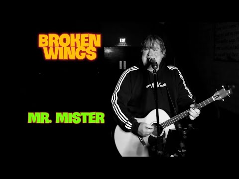 Broken Wings - Mr. Mister (Acoustic Cover)