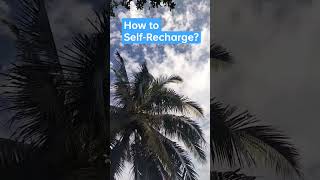 Self-recharge to better serve the people you love ❤️ #shortvideo #positivelife #travel #viral