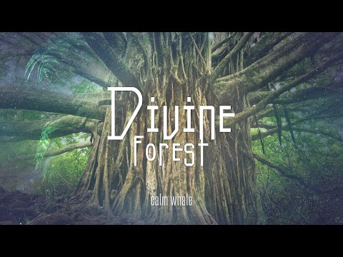 Divine Forest 🌳 UDU Drum Grounding Journey - Earth, Water, Nature, Connection - Grounding ceremony