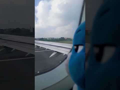 grumpy bear going to nagoya japan on a cebu pacific flight #carebears #japan #cebupacificair