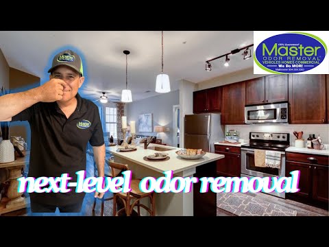 Interior odor removal experts |  Odor Removal  | No coverups no ozone | 954.589.3083 ￼