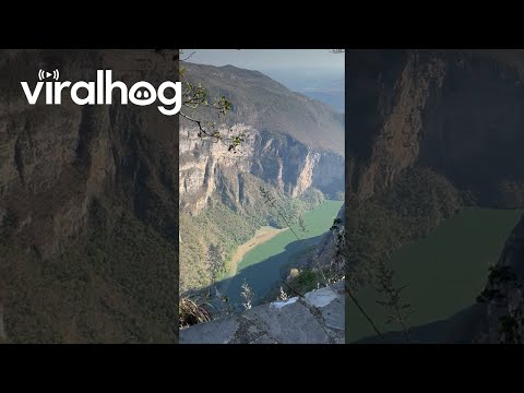 Ants Work To Move Food Closer To Canyon Abyss || ViralHog