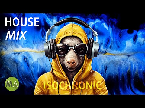 Peak Focus for Complex Tasks House Study Music (Aardvark Mix) with Isochronic Tones