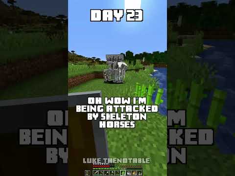 100 Days - [Minecraft Shorts] - Day 23 #minecraft #100days