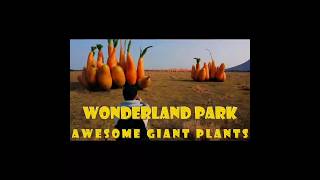 Giant Vegetables in Giant's Garden #giantvegetables #magicalescape #whimsicalworld