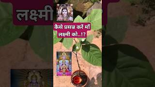 आचार्य प्रदीप जी :कैसे प्रसन्न करें माँ लक्ष्मी को...!? #jai #laxmi