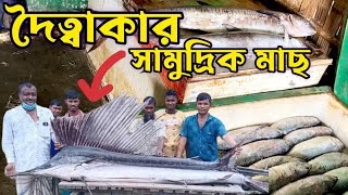 সামুদ্রিক মাছের দাম এত কম জানা ছিল না ।Seaintmartin Fish Market । Raaz Agro