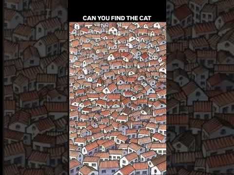 Can you find the cat 😺