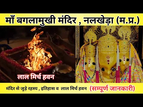 माँ बगलामुखी जी मंदिर के रहस्य | Nalkheda History | कोर्ट कचहरी मुकदमों के लिए होता है हवन #nalkheda