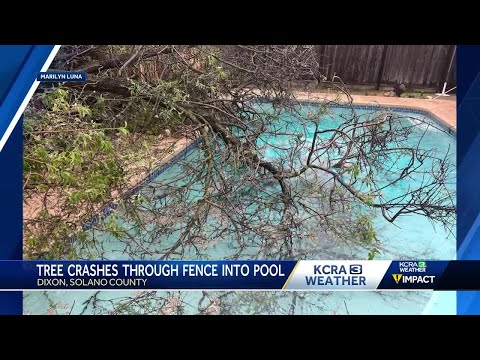 California storm viewer submissions | Tree falls on interstate, tree crashes into pool