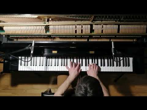 Robert Schumann - Curious Story (Kinderszenen op.15 #2)