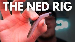 Everything I've Learned Fishing the NED RIG