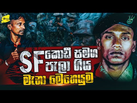 SF කොඩී සමග පැලා ගිය මැනා බිහිසුණු මෙහෙයුම | WANESA TV