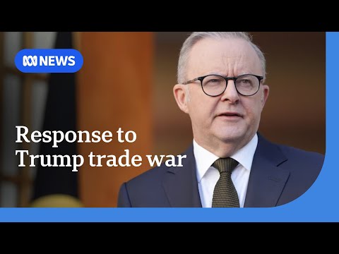 Albanese government uses critical minerals as bargaining chip in Trump's trade war | ABC NEWS