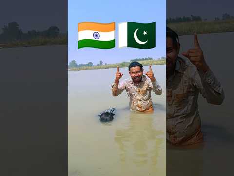 Oh desh mere . song desh bhakti india vs Pakistan America 🇮🇳🇵🇰 🇺🇲#indianarmy #armystatus  #tiktok