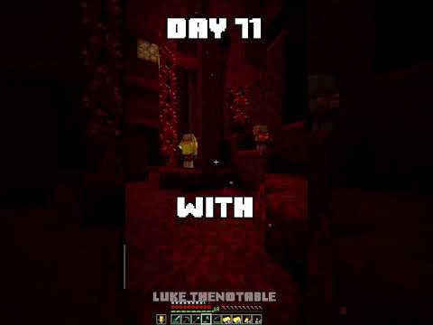 100 Days - [Minecraft Shorts] - Day 71 #minecraft #100days