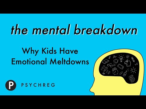 Why Kids Have Emotional Meltdowns