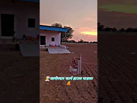 Depression 3 haryanvi  #जागीरदार_फार्म_हाउस_पाडला #farmer #landlord #rajput #thakursahab #farmhouse