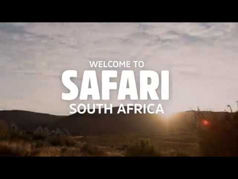 Explore South African Safari in 15 Seconds