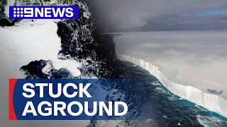 World's biggest iceberg runs aground off Antarctica | 9 News Australia