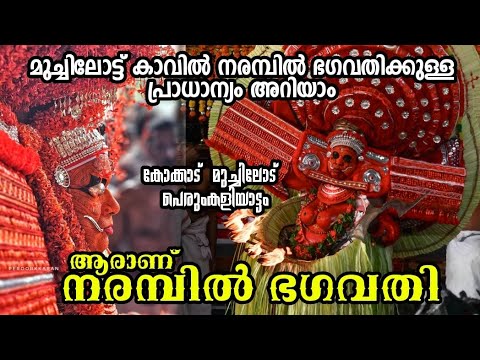 മുച്ചിലോട്ടെ നരമ്പിൽ ഭഗവതി സങ്കല്പം Ep 146 Narambil Bhagavathi #theyyam കോക്കാട് മുച്ചിലോട്ട് ഭഗവതി