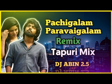 Pachigalam Paravaigalam Remix | Tapuri Mix | DJ ABIN 2.5 | Tamil DJ Songs | I am Abin