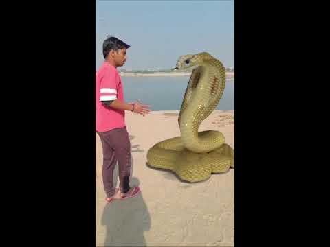 Anaconda attack 😪😱 #vfx #trending #viralvideo #snake #ytshorts #shorts