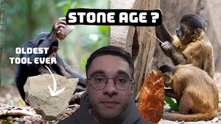 Have Modern Primates Entered The Stone Age?