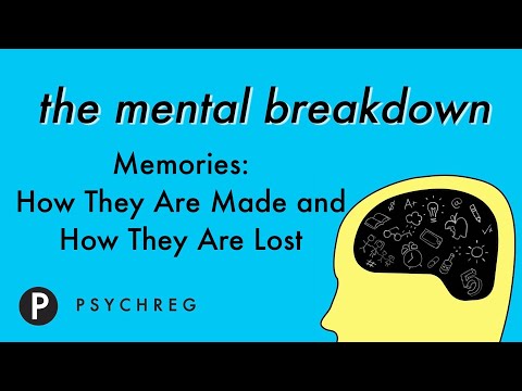 Memories: How They Are Made and How They Are Lost