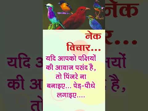 पिंजरे न बनाइए #birdsounds #youtubeshorts