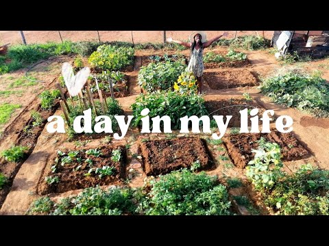 Gardening Vlog | A day In my Life | South African Youtuber | #roadto1k